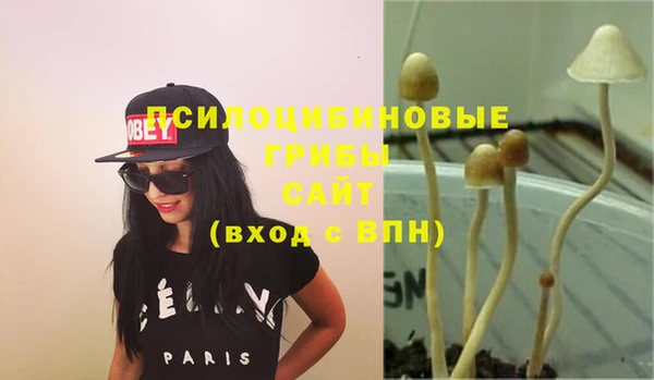 мдпв Покачи