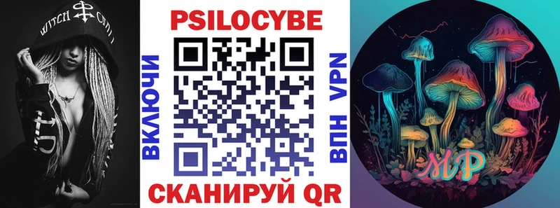 Галлюциногенные грибы Psilocybe  Калач 